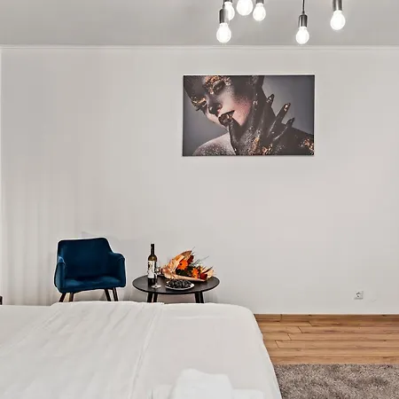 Garsoniera De Lux Si Eleganta Drumul Taberei Apartment *